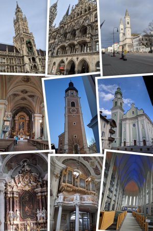 IMG_20200130_152317-COLLAGE.jpg