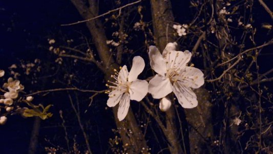 20230319_202909.jpg