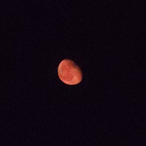 20221013_211228.jpg