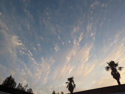 PXL_20230318_021148371.jpg