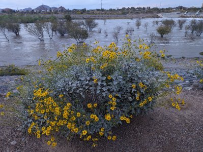 PXL_20230320_012820726 AZ.jpg