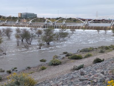 PXL_20230320_012731451 AZ.jpg