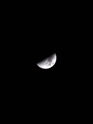 20230330_191951.jpg