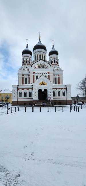20230306_103909.jpg