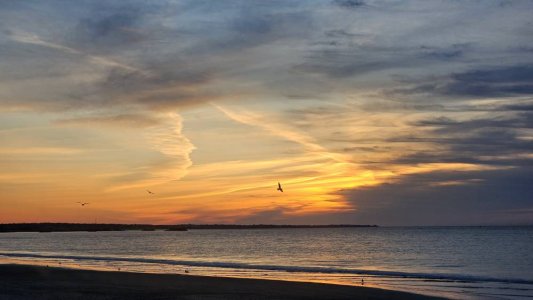20230408_061748.jpg
