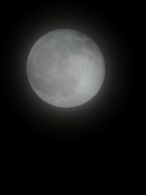 20230406_232420.jpg