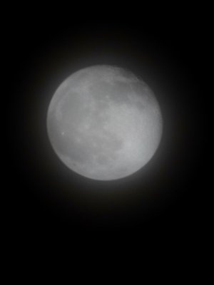 20230406_232417.jpg