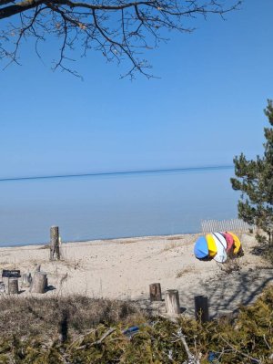 PXL_20230409_162445569.jpg