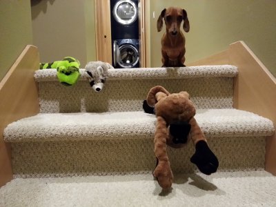 2013-05-03 02.57.38.jpg