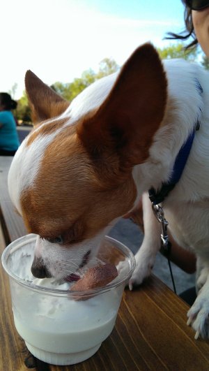 IMAG0295.jpg
