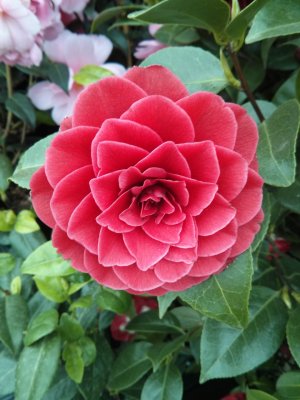 IMG_20130505_141219.jpg