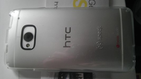 IMAG0806.jpg