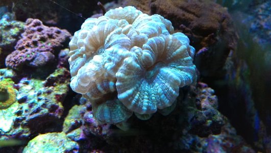 IMAG0047.jpg