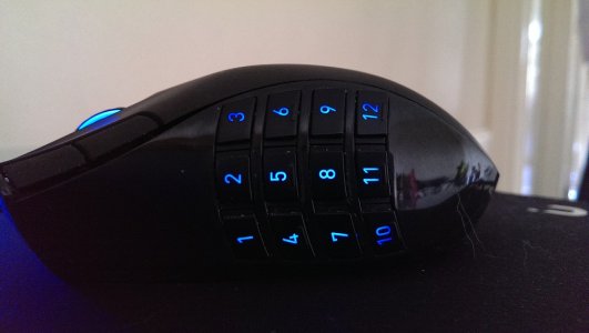 IMAG0079.jpg