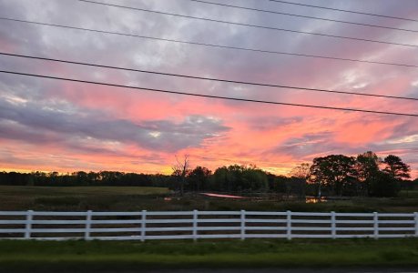 20230413_070424.jpg
