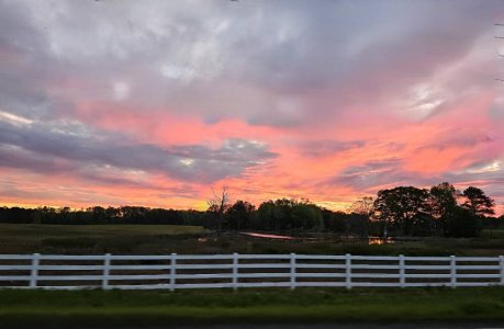 20230413_155024.jpg