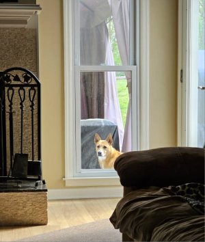 20230415_171124.jpg
