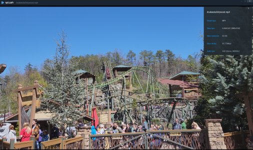 Outdoors1.jpg