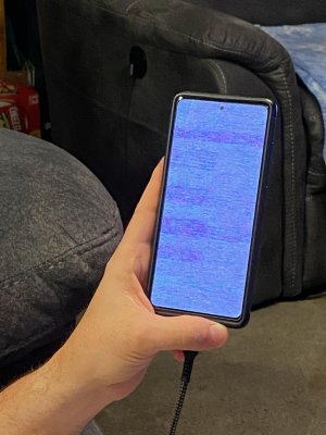 3016228545391357575.jpg