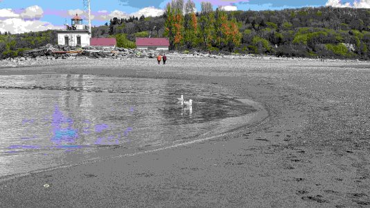 PXL_20230424_214715819.MP-.jpg