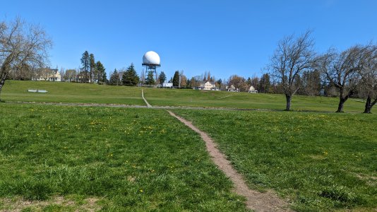 PXL_20230426_214158921-.jpg