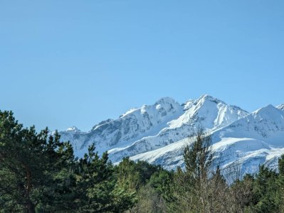 PXL_20230428_084815654.jpg