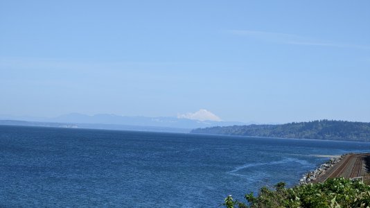 PXL_20230429_175155941.jpg