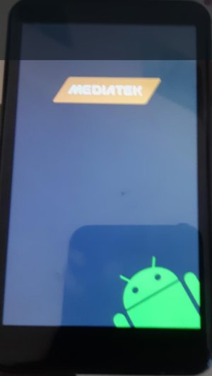 bug.jpg