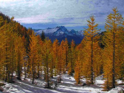 Carne Mt Snow-.jpg
