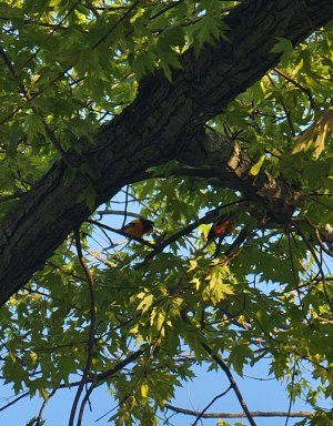 20230509_191209.jpg