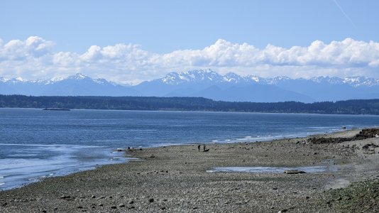PXL_20230511_214316243-.jpg