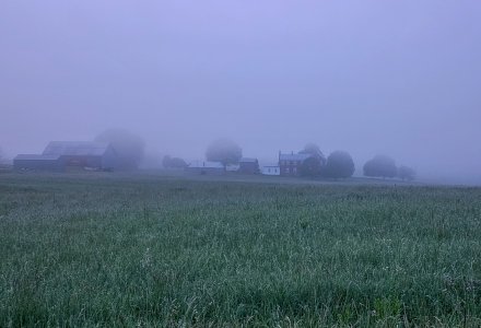 HQ Rd-fog.jpg