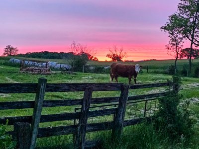 Sunrise-Wolverton Rd-2023.jpg