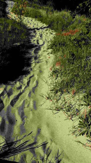 PXL_20230514_155856098-.jpg