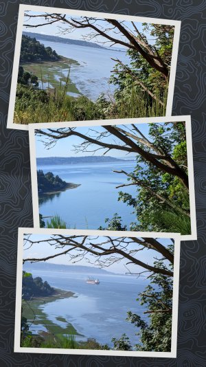 PXL_20210722_155200426-COLLAGE.jpg