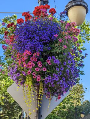 PXL_20230514_004100799.jpg