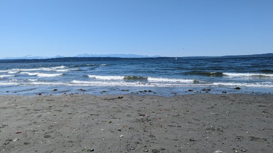 PXL_20230606_222127674-.jpg