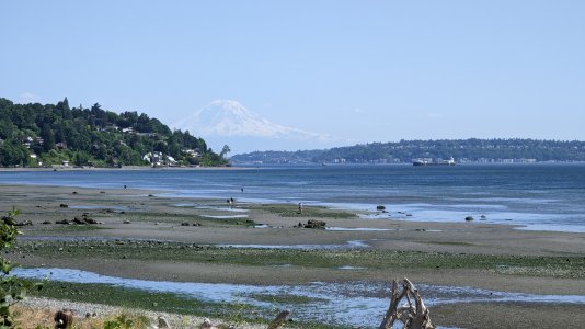 PXL_20230606_223505126-.jpg