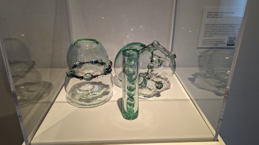 PXL_20230622_194639857.jpg