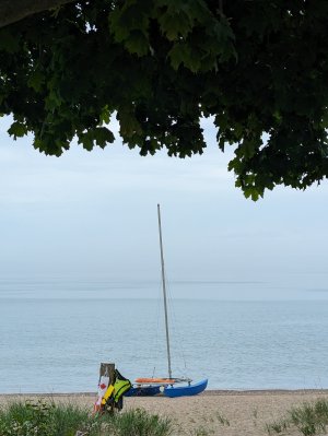 PXL_20230623_154838665.jpg