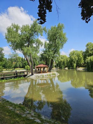20230624_112002.jpg