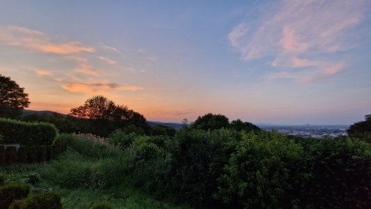 20230620_210118.jpg