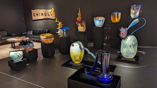 PXL_20230701_174207045.jpg