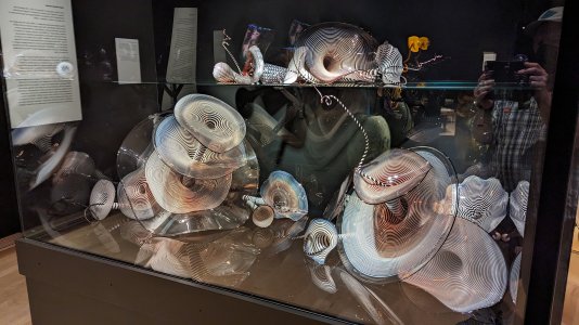 PXL_20230701_174151396.jpg