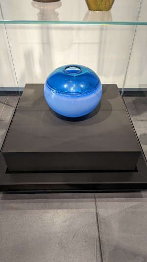 PXL_20230701_175600688.jpg
