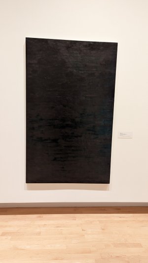 PXL_20230701_175058527.jpg