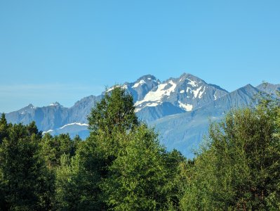 PXL_20230708_044251918.jpg