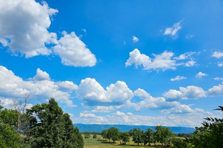 Front Yard Blue skies-July2023.jpg