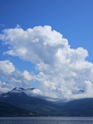 20230729_143916.jpg