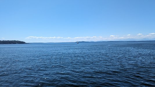 PXL_20230731_212736047.jpg